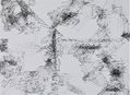 r011